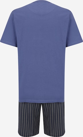 SCHIESSER Short Pajamas in Blue