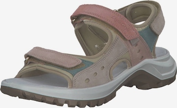 Sandales de randonnée 'Tanelia' Palado en beige : devant