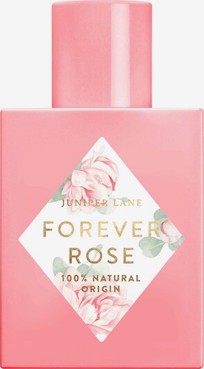 Juniper Lane Fragrance 'Art du Parfum 'Forever Rose' in Transparent, Item view