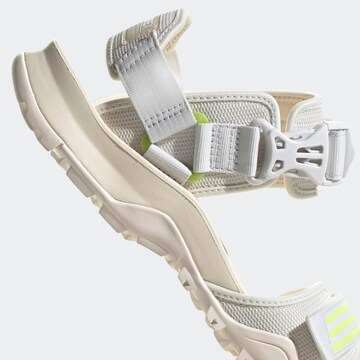 ADIDAS TERREX Sandals 'Cyprex Ultra II DLX' in Grey