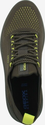 Sneaker bassa 'Spherica' di GEOX in verde