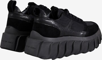 Apple of Eden Sneakers 'BLAIR' in Black