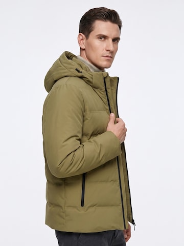 ALLTHEMEN Winter Jacket 'Wärmekammer' in Green