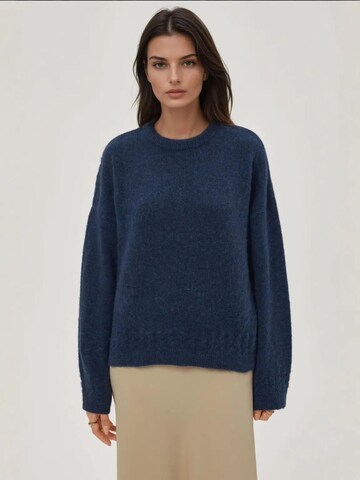 Pull-over Hiccup en bleu : devant