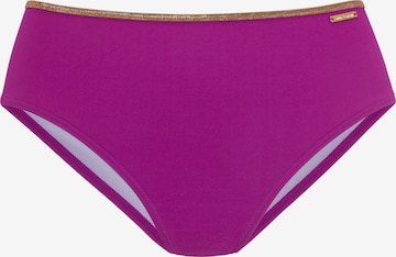 Bas de bikini BRUNO BANANI en violet : devant