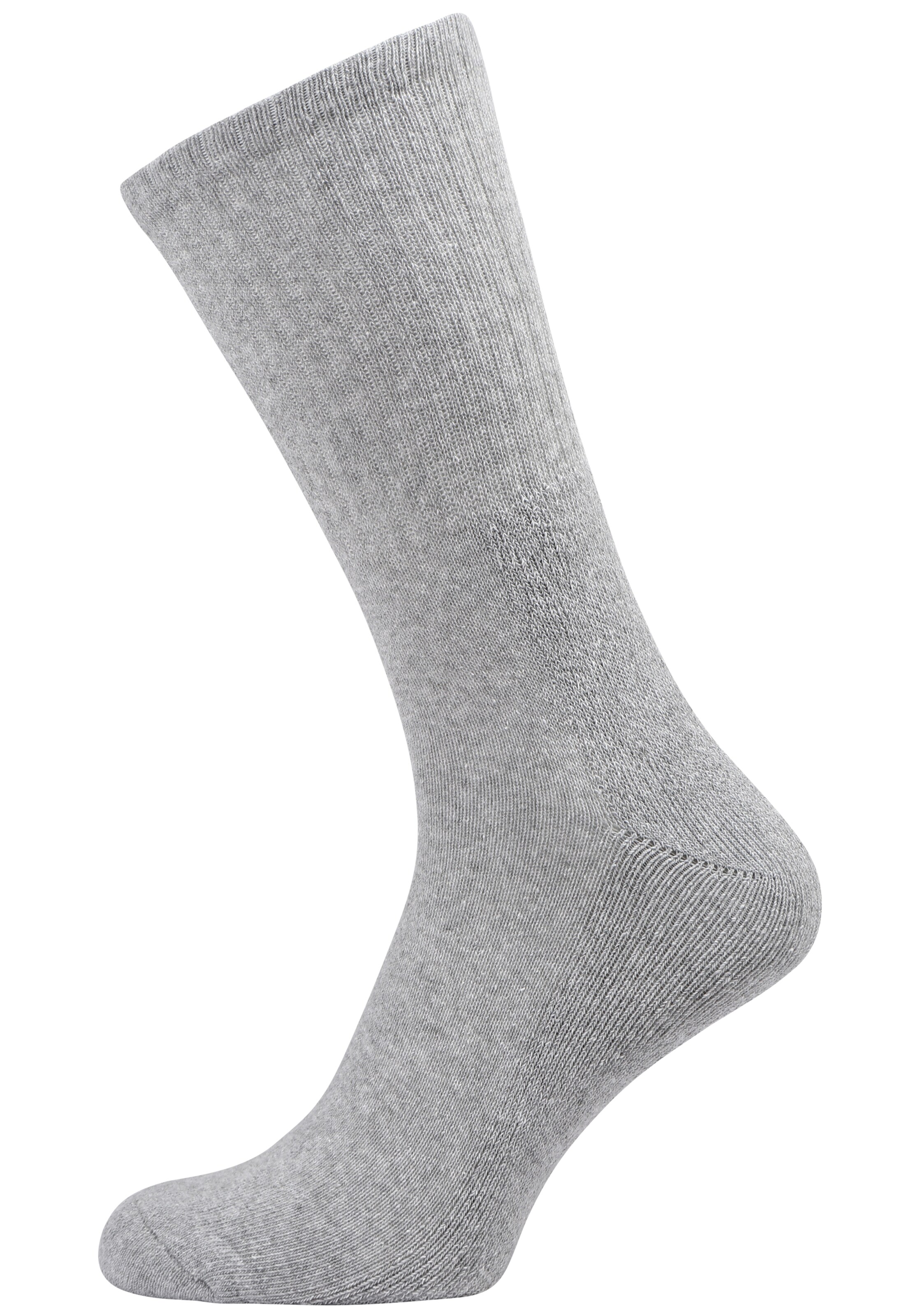 Götzburg Socks in Grey