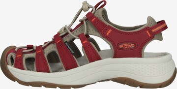 KEEN Sandaal 'ASTORIA WEST' in Rood