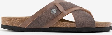 Bayton Mules 'Gianni' in Brown