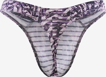 Olaf Benz Panty ' RED2333 Ministring ' in Purple