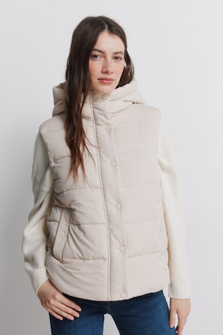 Springfield Bodywarmer in Beige: voorkant
