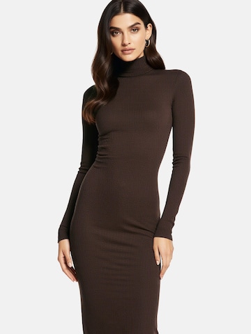 PANTHEROAR Pletena obleka 'High Neck Long Dress' | rjava barva: sprednja stran