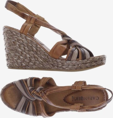 CAFÈNOIR Sandals & High-Heeled Sandals in 38 in Brown: front