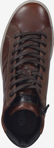 IGI&CO High-Top Sneakers in Brown