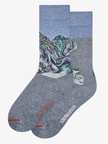 MuseARTa Socks 'Vincent van Gogh - Schlucht' in Grey: front