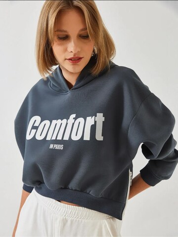 Bianco Lucci Sweatshirt 'Sweatshirts' in Grey