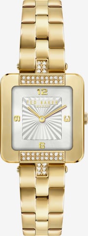 Ted Baker Analog Watch 'Mayse' in Gold: front