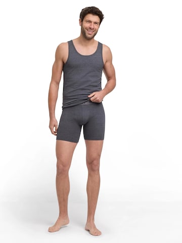 FALKE Boxer shorts '2-Pack Long Leg' in Grey: front