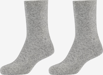 camano Socken in Grau: predná strana