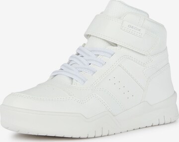 Baskets GEOX en blanc : devant