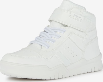 GEOX Sneakers in White: front