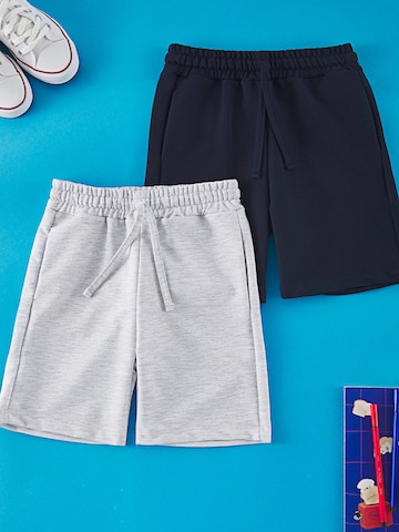 Trendyol Regular Pants in Blue: front
