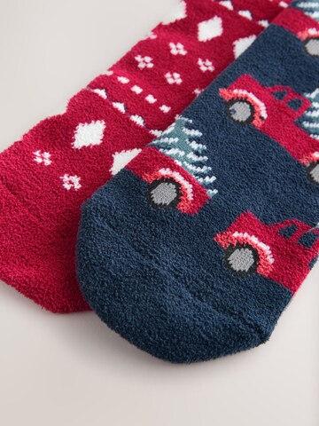 Next Socken in Mischfarben