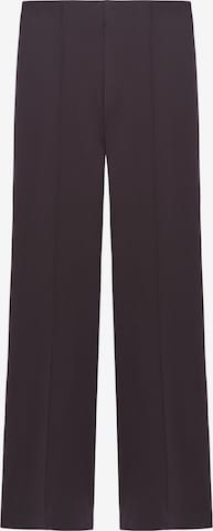 regular Pantaloni di Adolfo Dominguez in marrone: frontale