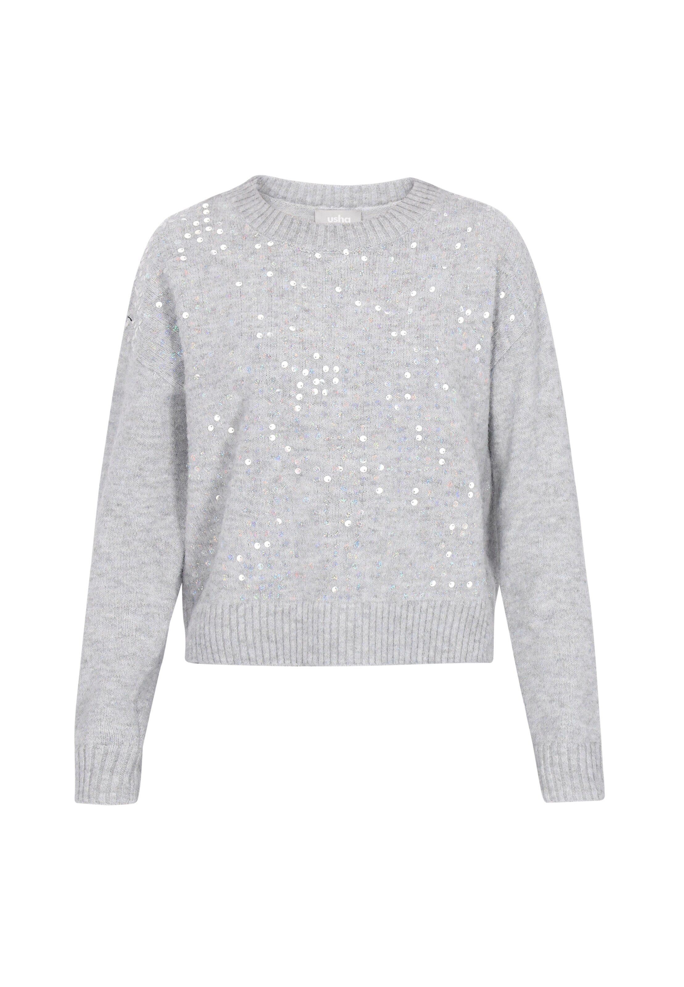 Usha Sweater in Grey: front