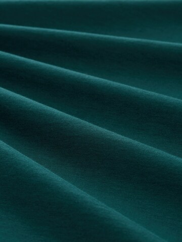Maglietta di TOM TAILOR in verde