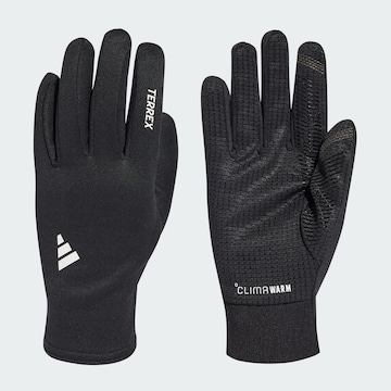 ADIDAS TERREX Sporthandschoenen in Zwart