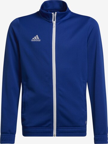 ADIDAS PERFORMANCE Sportjacke 'Entrada 22' in Blau: predná strana