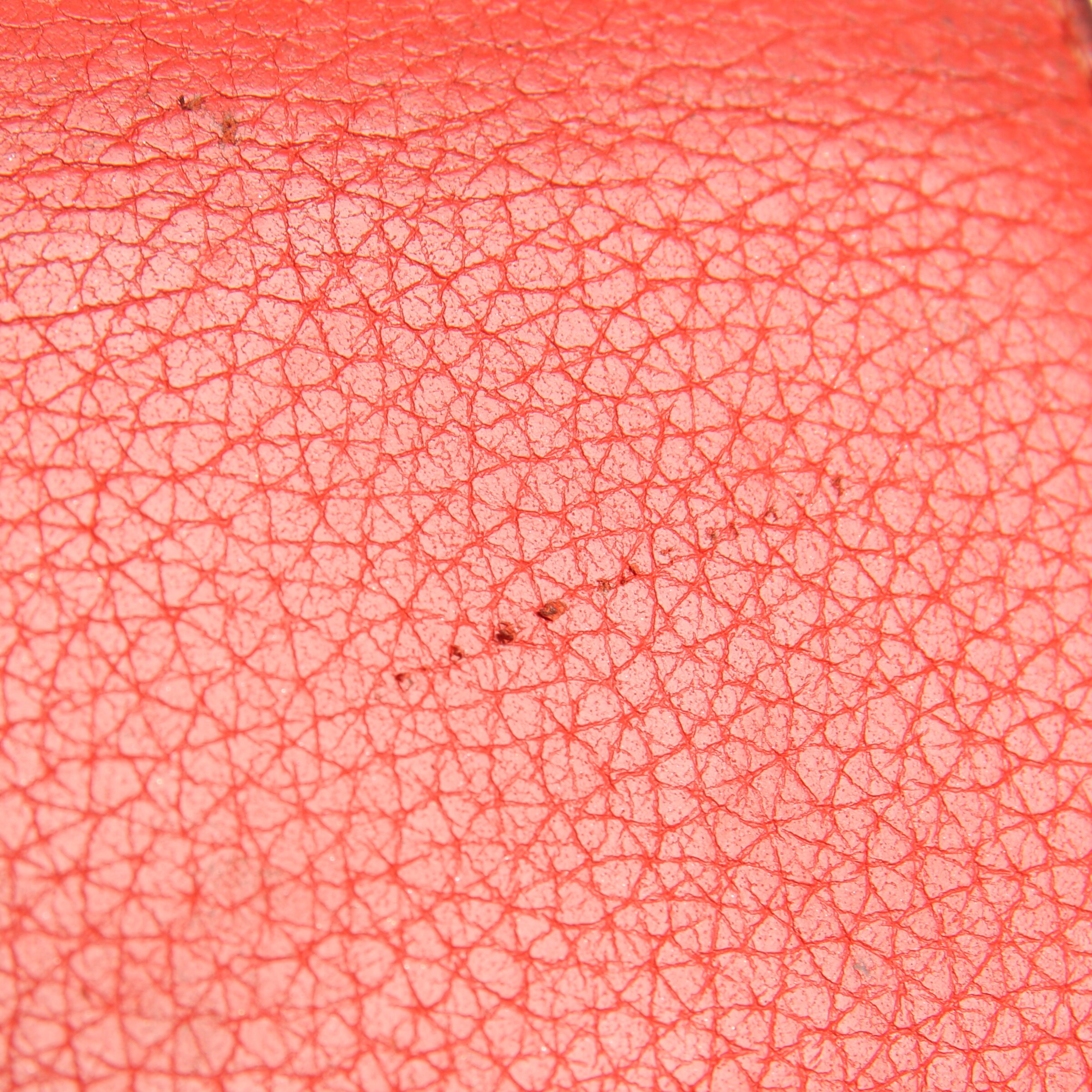 Céline Geldbörse / Etui One Size in Orange