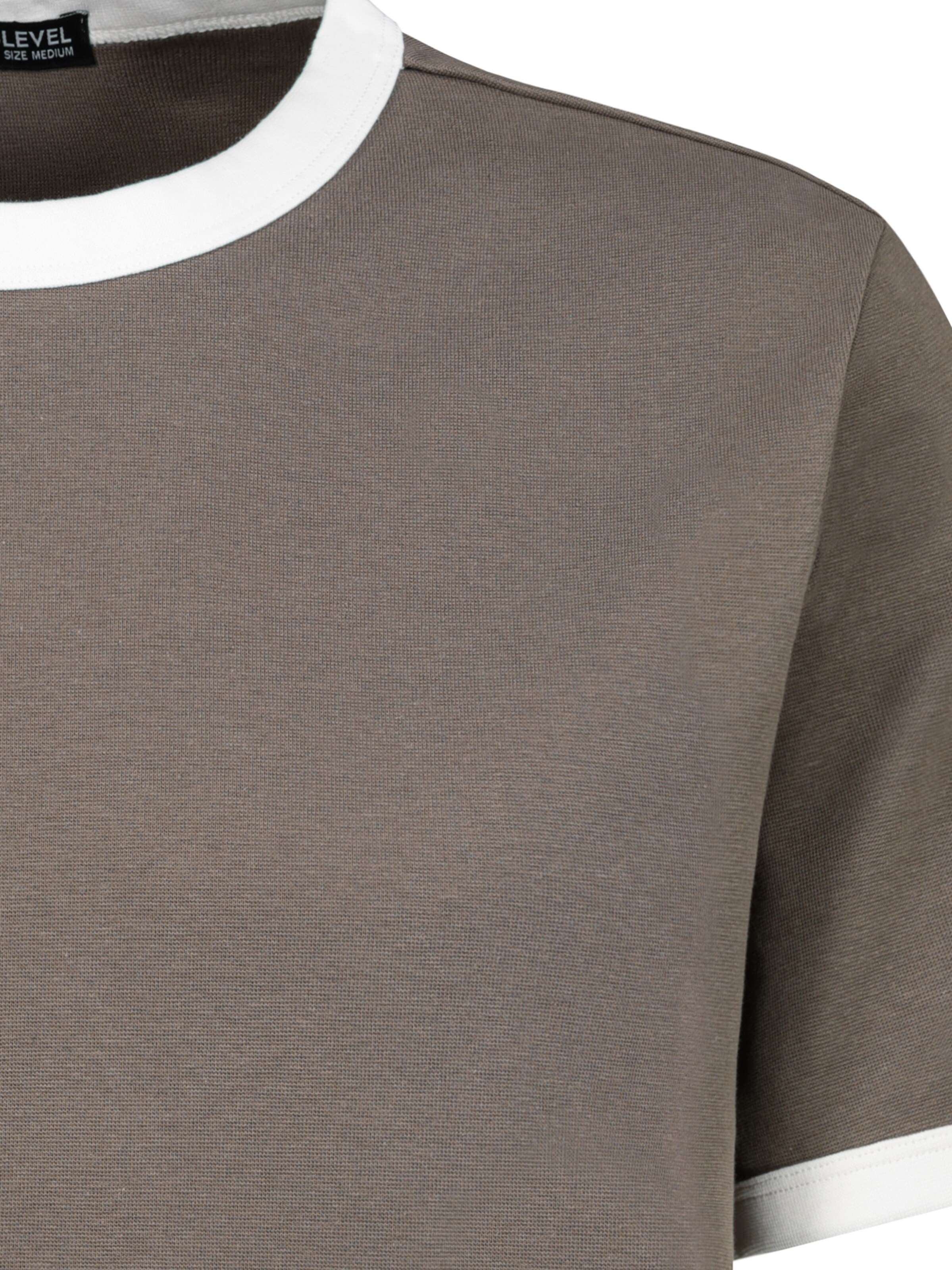 Sublevel T-Shirt in Braun