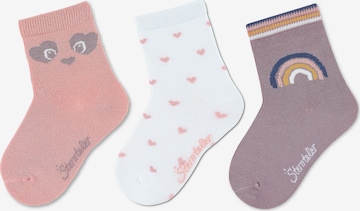 STERNTALER Socks 'Panda' in Purple: front