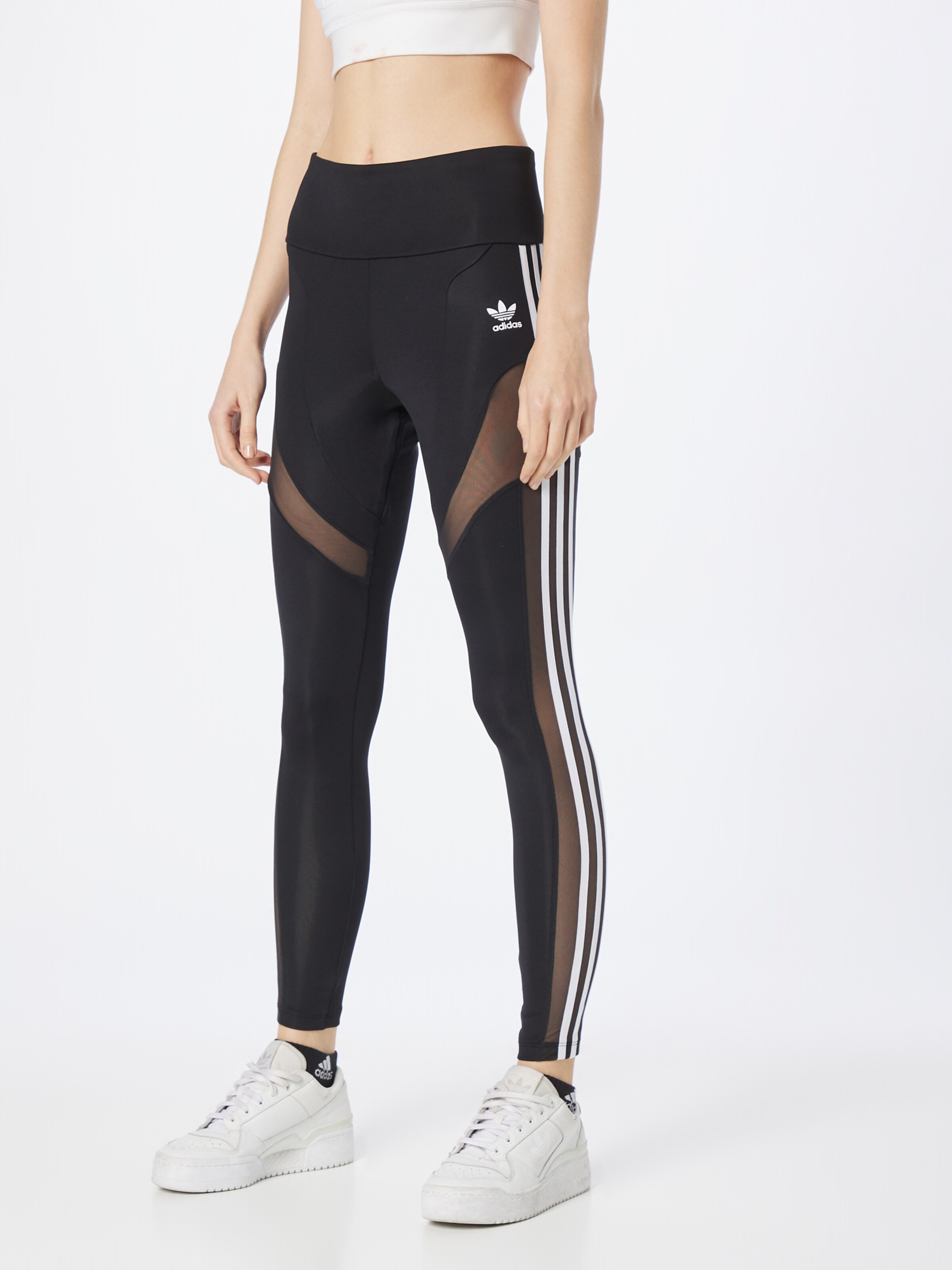ADIDAS ORIGINALS Leggings voor dames online kopen | ABOUT YOU