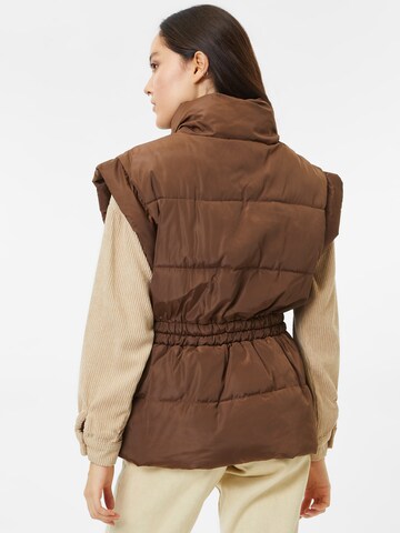 Noisy may Vest 'Fairy' in Brown