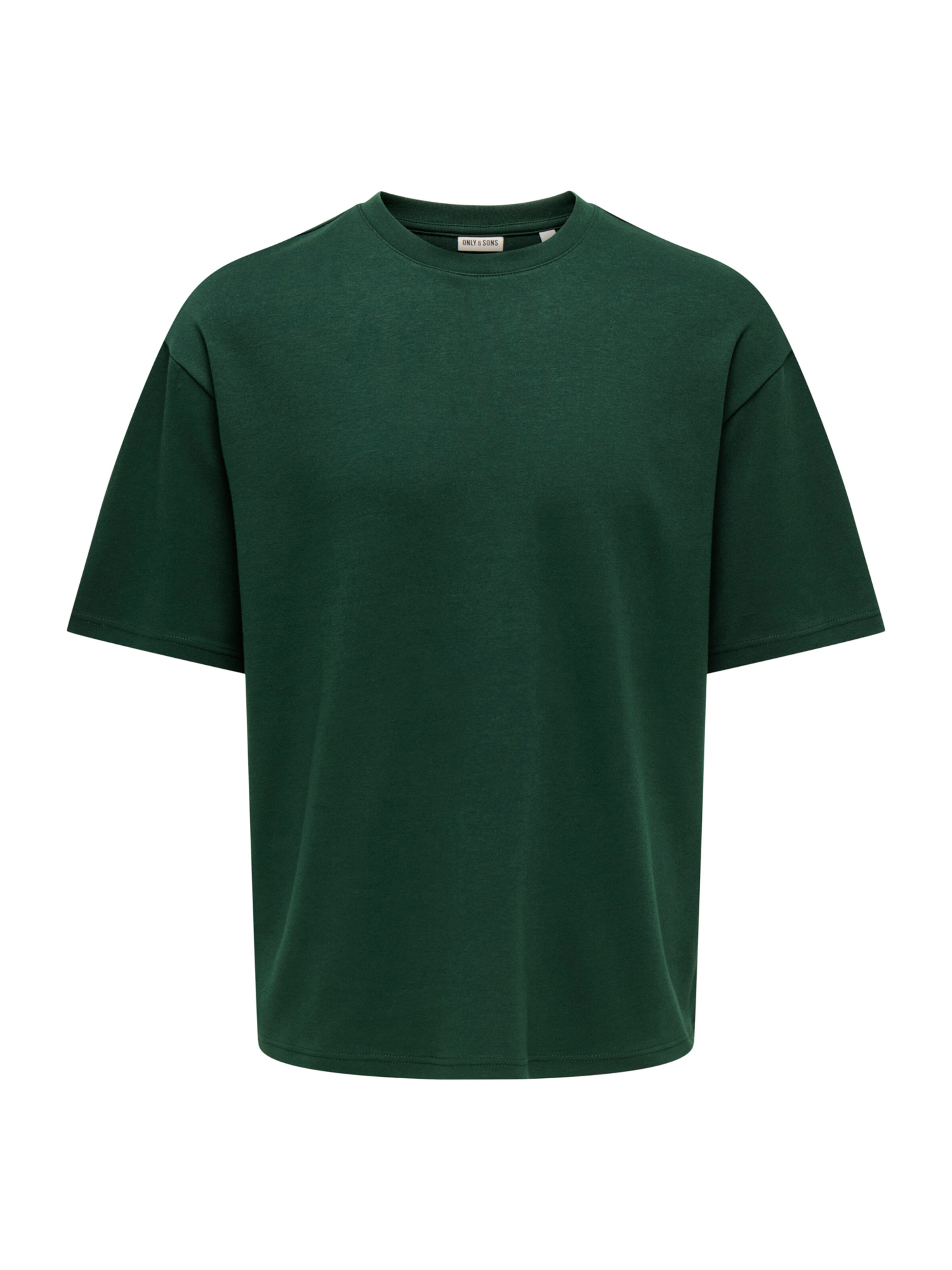 Only & Sons Shirt 'ONSCASPIAN' in Green: front