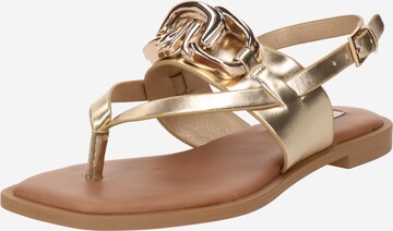 STEVE MADDEN Klipklappere 'GENIE' i guld: forside