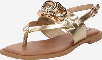 STEVE MADDEN Teenslipper 'GENIE' in Goud: voorkant