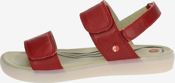 Softinos Sandalen met riem in Rood