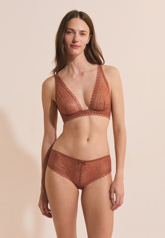 ETAM Regular Panty 'Panama' in Brown