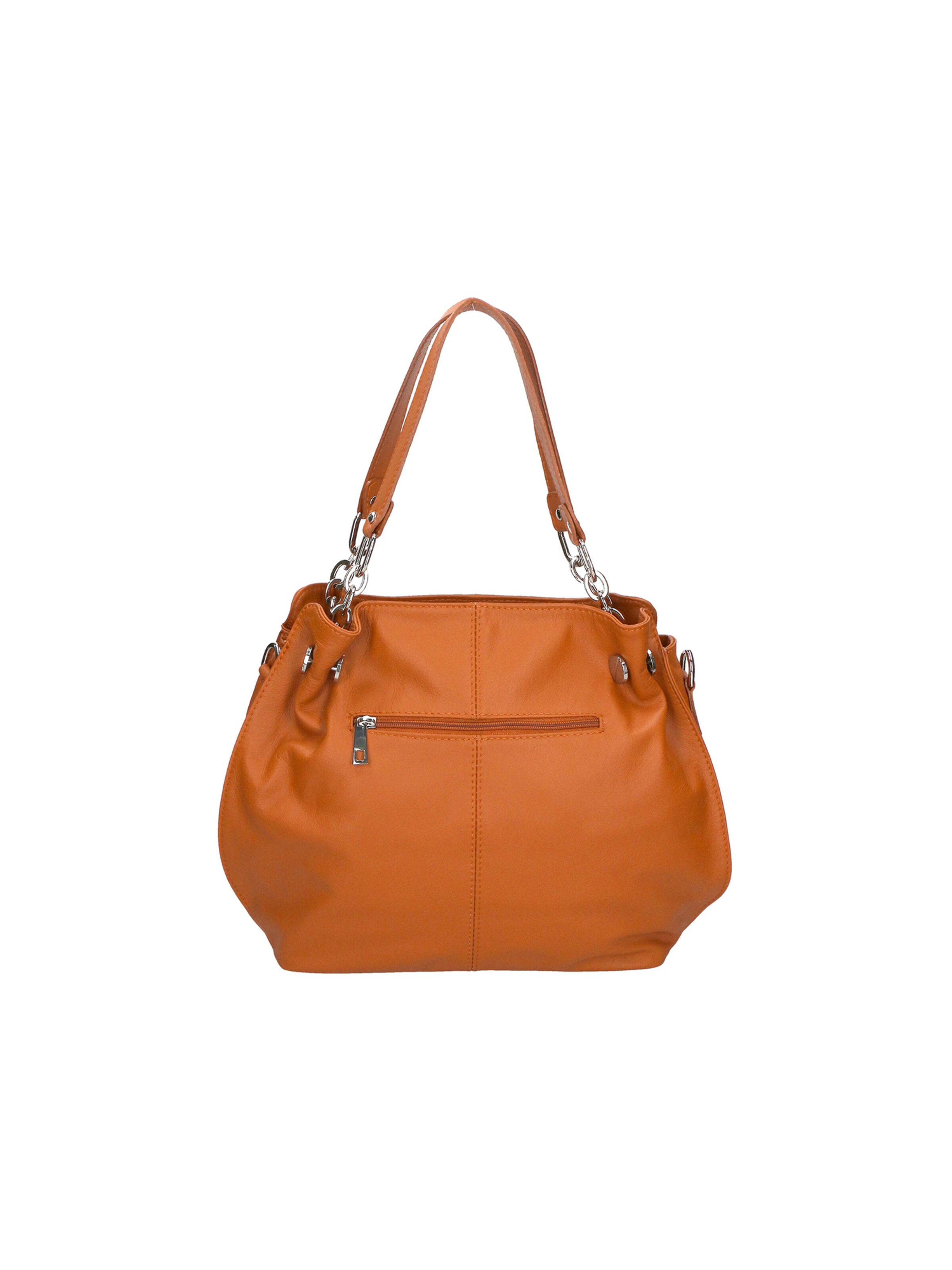 CHICCA BORSE Handbag in Brown