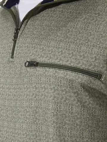 BABISTA Sweatshirt 'Elandor' in Groen