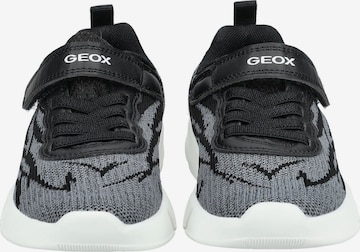 Sneaker di GEOX in nero