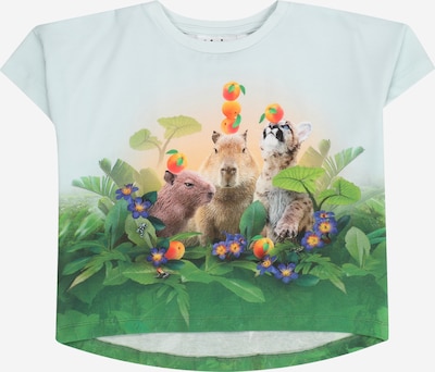 Molo Paita 'Raeesa' värissä ruskea / vihreä / minttu / hummeri, Tuotenäkymä