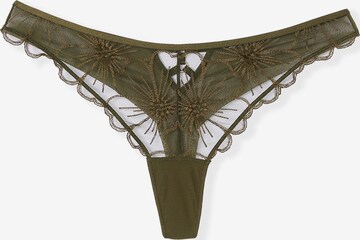 String di ETAM in verde: frontale