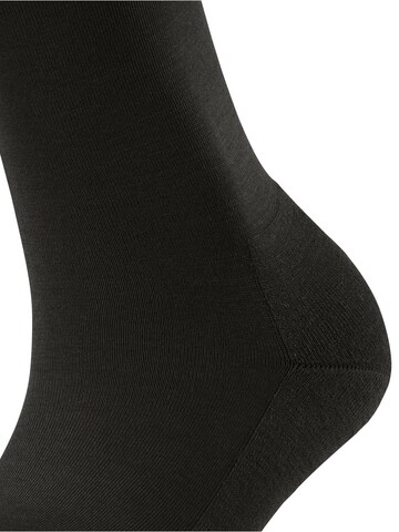 FALKE Socks 'ClimaWool' in Brown