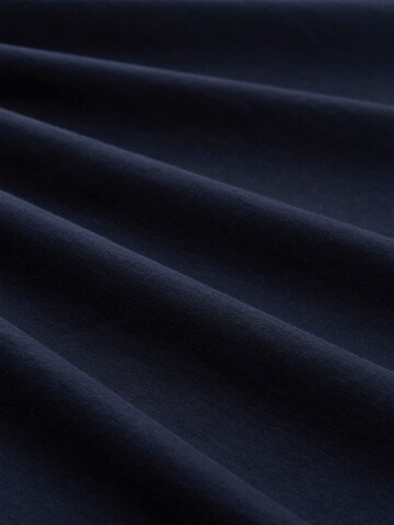 TOM TAILOR Shirt in Blue