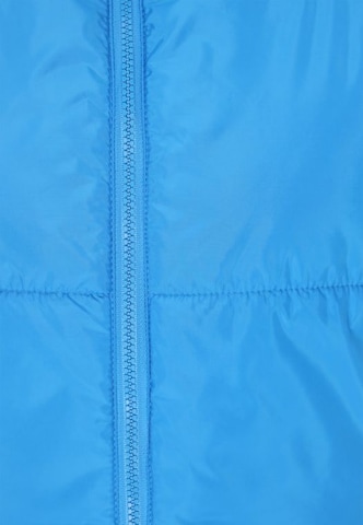 COSIMON Bodywarmer in Blauw