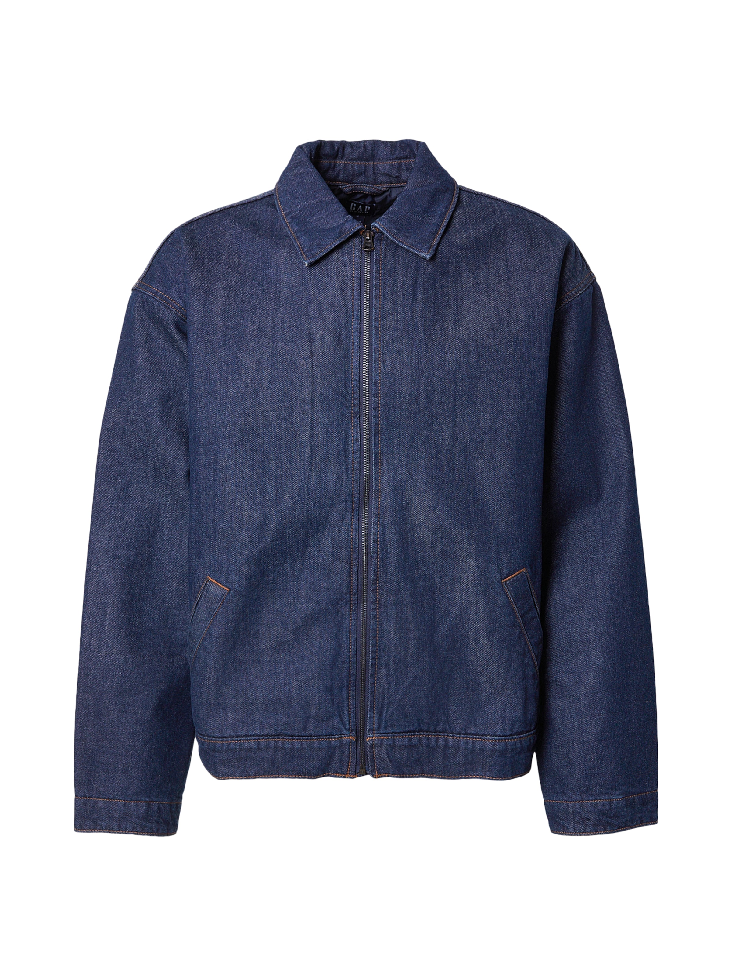GAP Between-Season Jacket in Blue: front